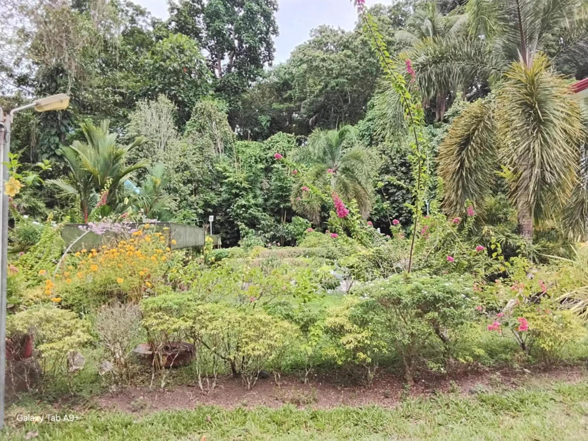 Camiguin Lanzones Resort Mambajao Luaran gambar