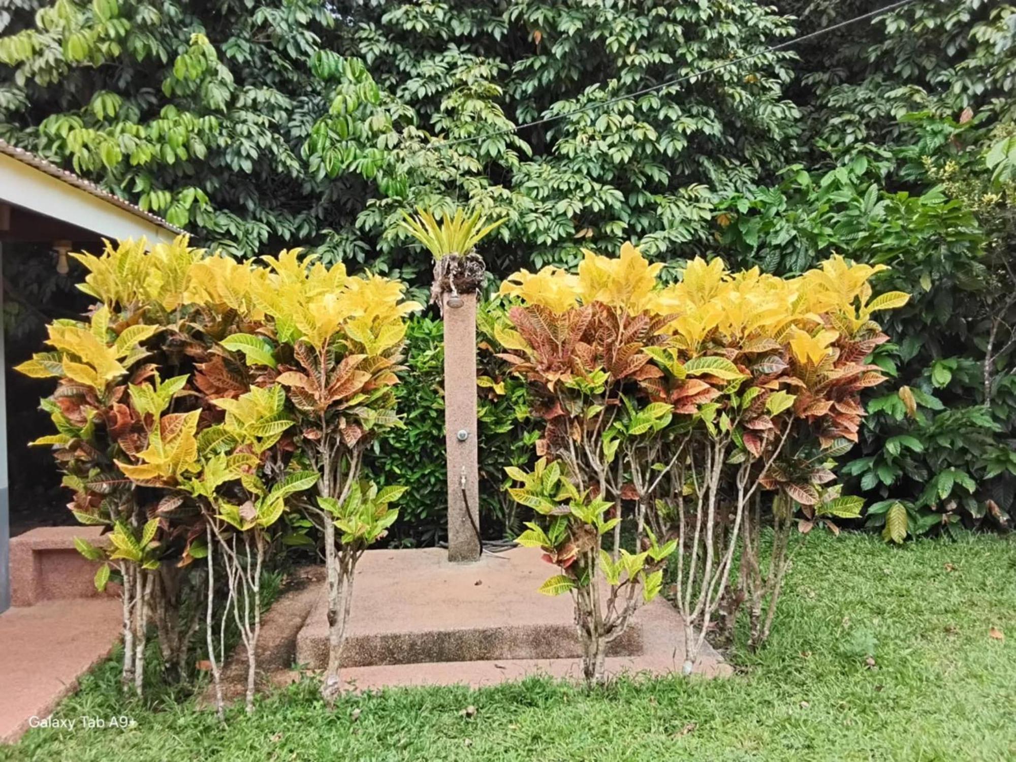 Camiguin Lanzones Resort Mambajao Luaran gambar