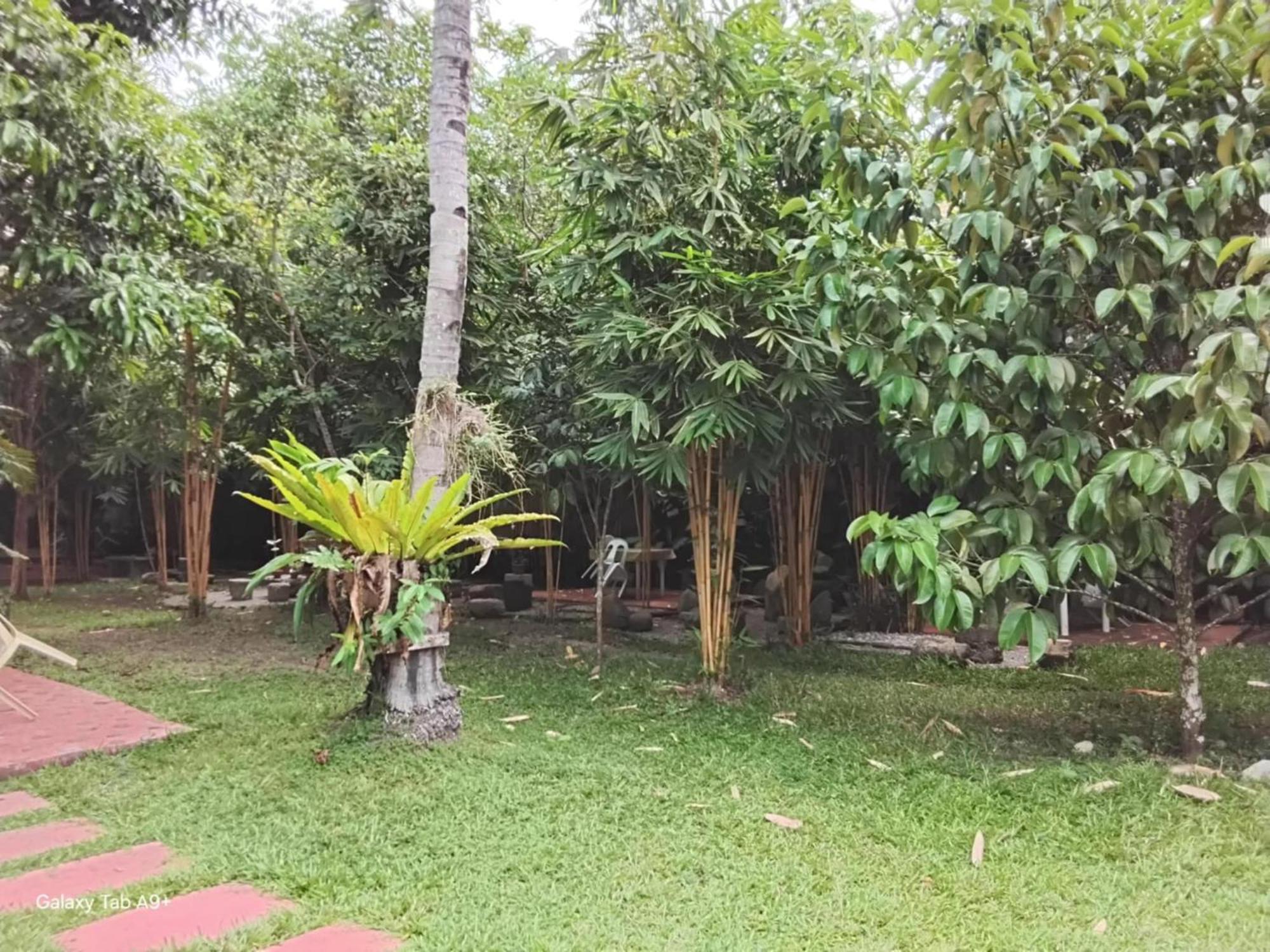 Camiguin Lanzones Resort Mambajao Luaran gambar