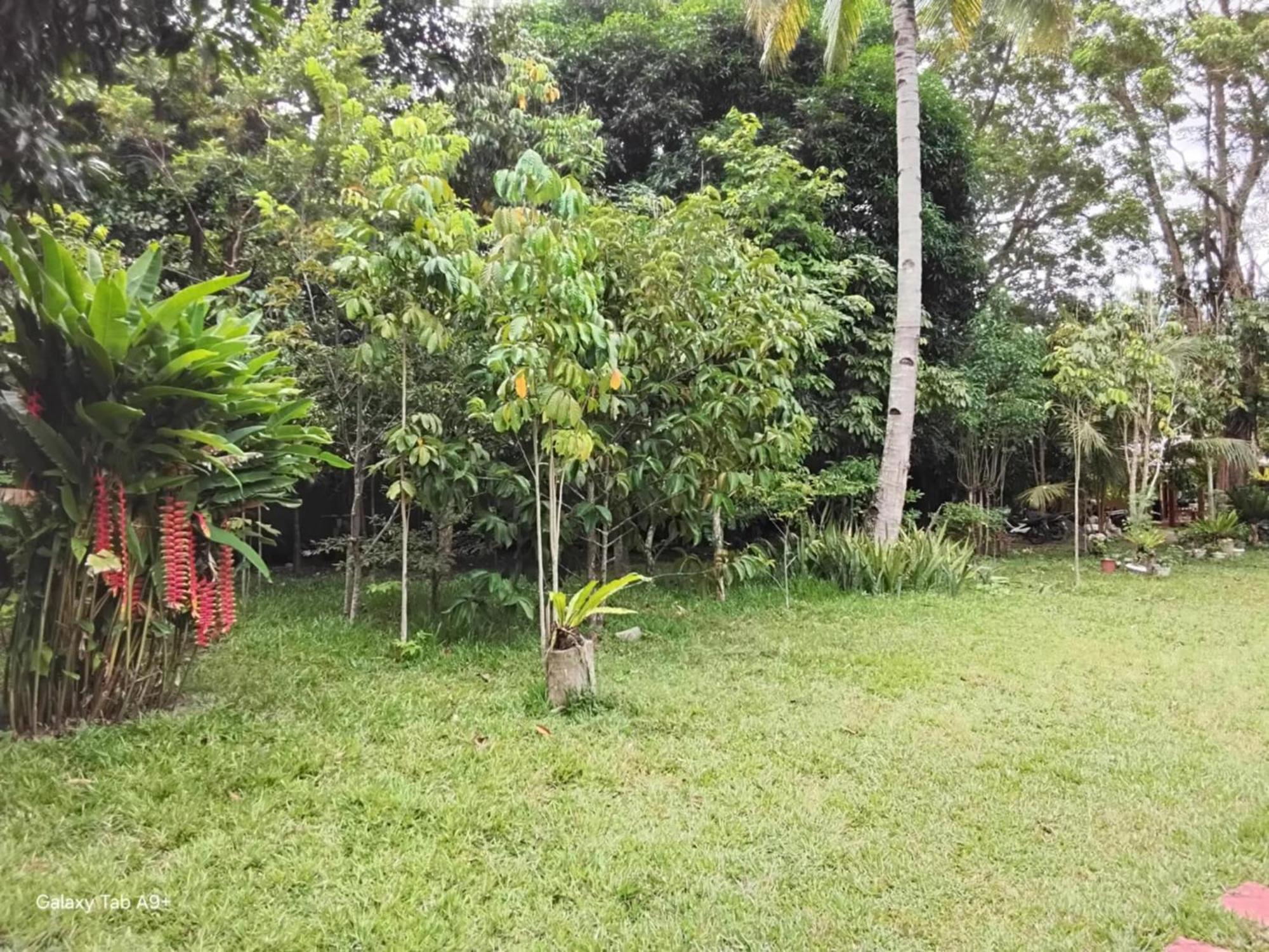 Camiguin Lanzones Resort Mambajao Luaran gambar