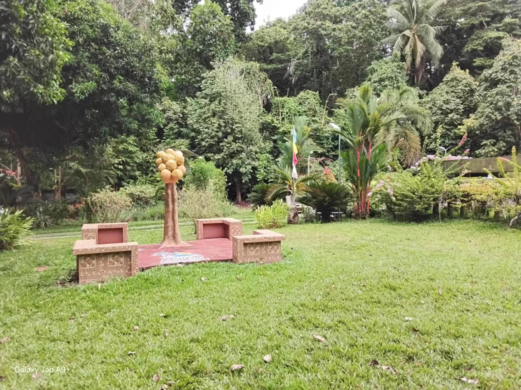 Camiguin Lanzones Resort Mambajao Luaran gambar