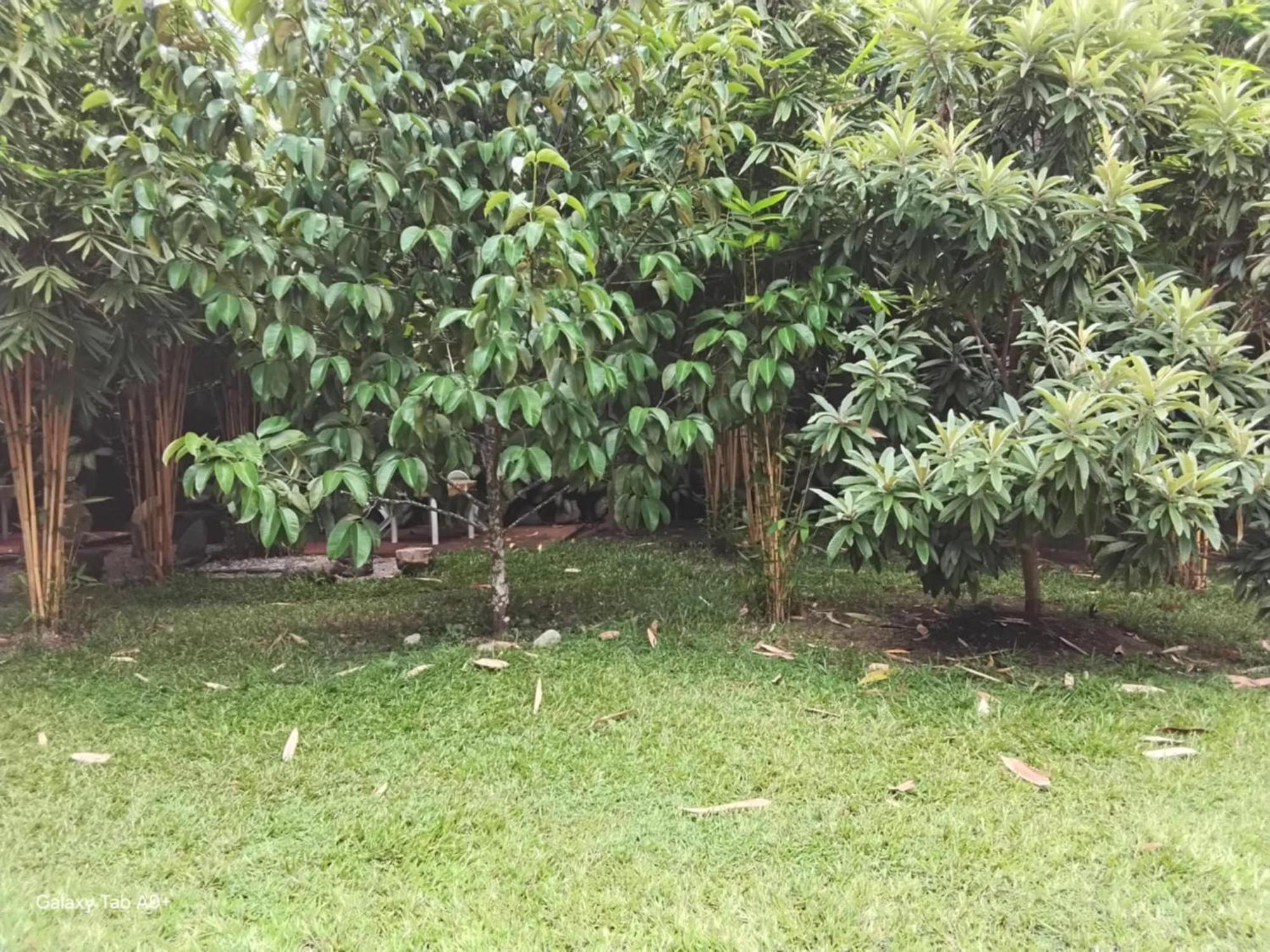 Camiguin Lanzones Resort Mambajao Luaran gambar