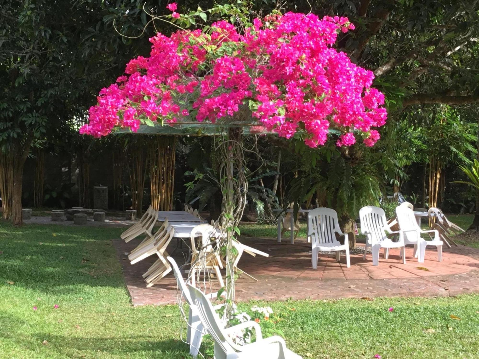 Camiguin Lanzones Resort Mambajao Luaran gambar